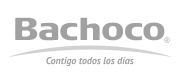 logo-bachoco